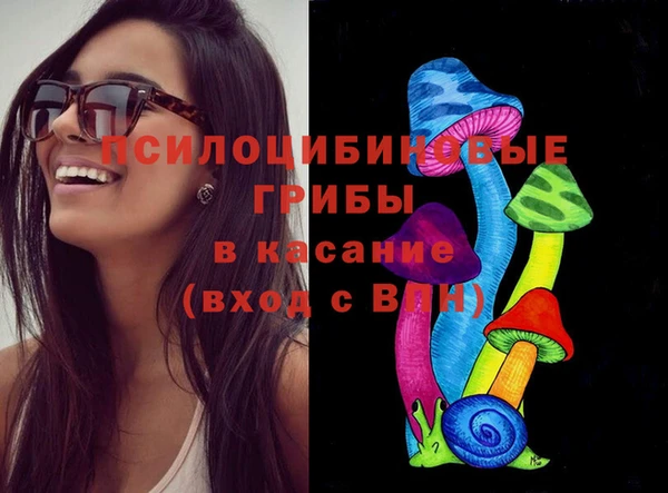 мяу мяу мука Осташков