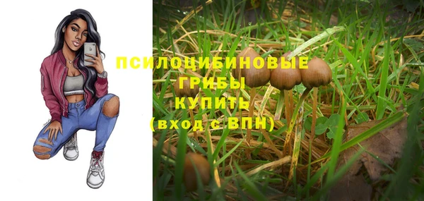 ALPHA PVP Бутурлиновка