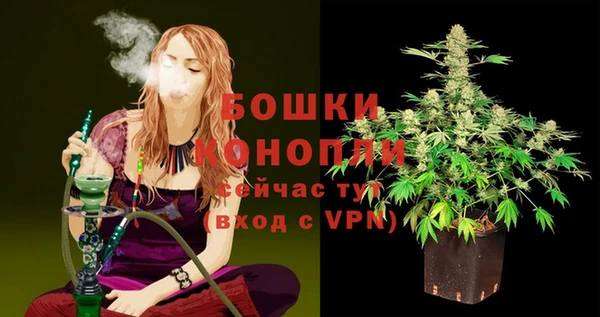 мяу мяу мука Осташков