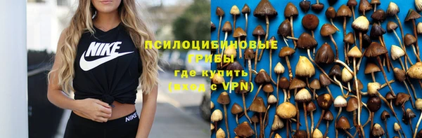 ALPHA PVP Бутурлиновка